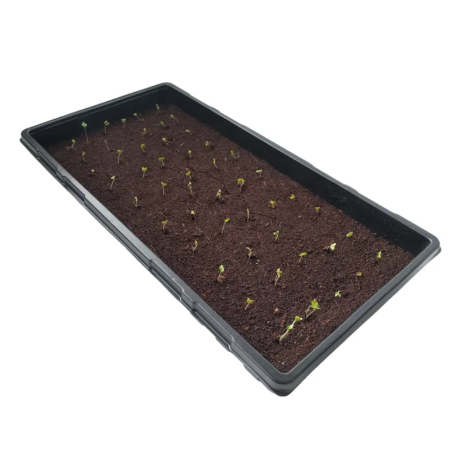 Propagation Trays For Seed Starting or Microgreens WITHOUT Holes - 1020 - Image 3
